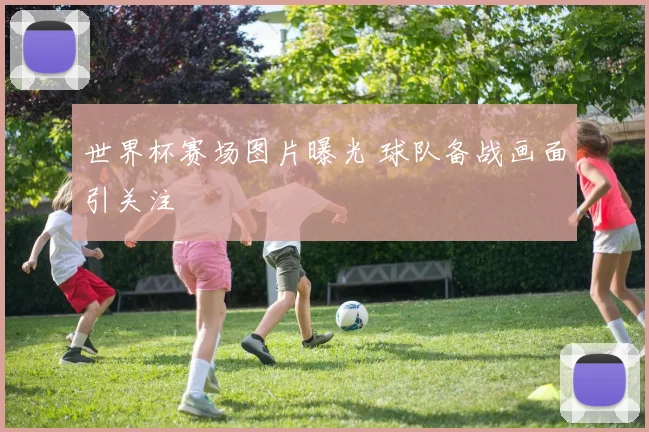 世界杯赛场图片曝光 球队备战画面引关注