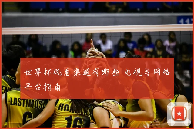 世界杯观看渠道有哪些 电视与网络平台指南