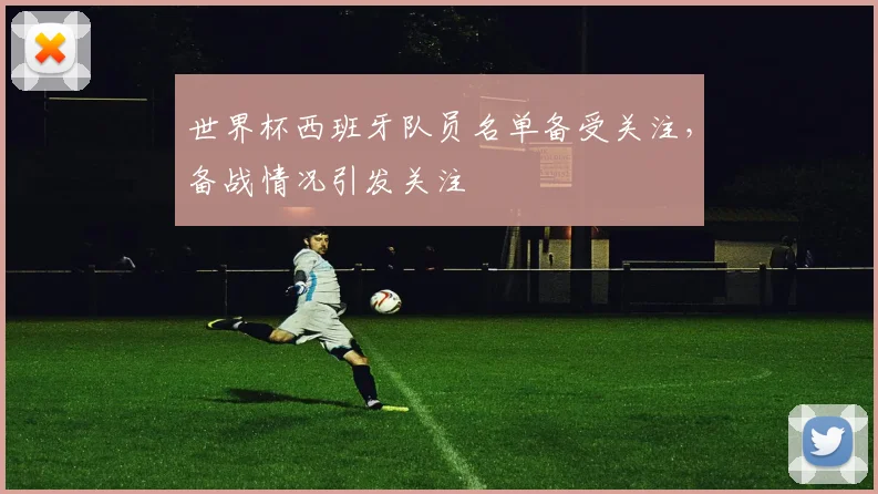 世界杯西班牙队员名单备受关注,备战情况引发关注