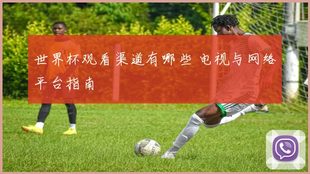 世界杯观看渠道有哪些 电视与网络平台指南