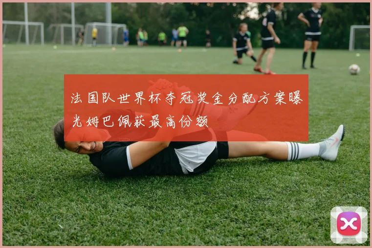 法国队世界杯夺冠奖金分配方案曝光姆巴佩获最高份额