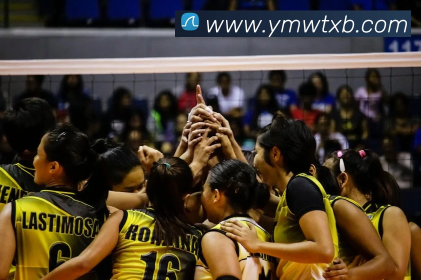 电子游戏pg娱乐官网服务体系